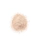 CLINIQUE Blended Face Powder Loser Puder 25 g 192333102183 detail-shot_at