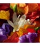 GUERLAIN Aqua Allegoria Eau de Parfum 75 ml 3346470148079 visual-shot_at