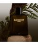 Burberry Burberry Hero Parfum 50 ml 3616304679452 visual-shot_at