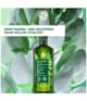 Yves Rocher Anti-Haarausfall Haarshampoo 300 ml 3660005985565 pack-shot_at