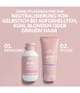 Wella Professionals Invigo Haarshampoo 300 ml 4064666339054 visual-shot_at