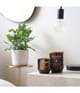 Produktbild 2 von 3, WoodWick ReNew Duftkerze