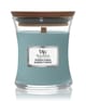 Produktbild 1 von 3, WoodWick Evergreen Cashmere Duftkerze