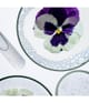 Collistar Face Care Reinigungscreme 100 ml 8015150219266 visual3-shot_at