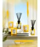 Acqua di Parma Room Diffuser Raumduft 180 ml 8028713620584 visual2-shot_at