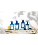 Acqua di Parma Blu Mediterraneo Bodylotion 300 ml 8028713813900 visual2-shot_at