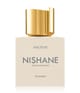 Produktbild 1 von 6, NISHANE HACIVAT Parfum