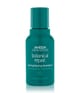 Produktbild 1 von 2, Aveda Botanical Repair Haarshampoo