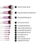 BH Cosmetics 12 Piece Brush Set Pinselset 1 Stk 849953009032 visual3-shot_at