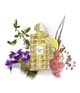 Produktbild 2 von 3, Creed Les Royales Exclusives Eau de Parfum