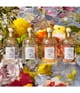Produktbild 4 von 6, GUERLAIN Aqua Allegoria Eau de Toilette