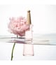 Issey Miyake L'Eau d'Issey Eau de Toilette 50 ml 3423222090593 detail-shot_at