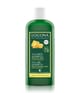 Produktbild 2 von 2, Logona Bier & Bio-Honig Haarshampoo