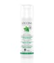 Produktbild 1 von 4, Logona Purify Gesichtsfluid