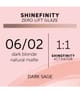 Produktbild 4 von 6, Wella Professionals Shinefinity Professionelle Haartönung