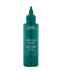 Aveda Botanical Repair Haarkur