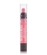Burt's Bees Glossy Crayon Lippenbalsam