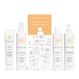 Innersense Organic Beauty Pure Harmony Collection Haarpflegeset