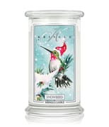 Kringle Candle Snowbird Duftkerze