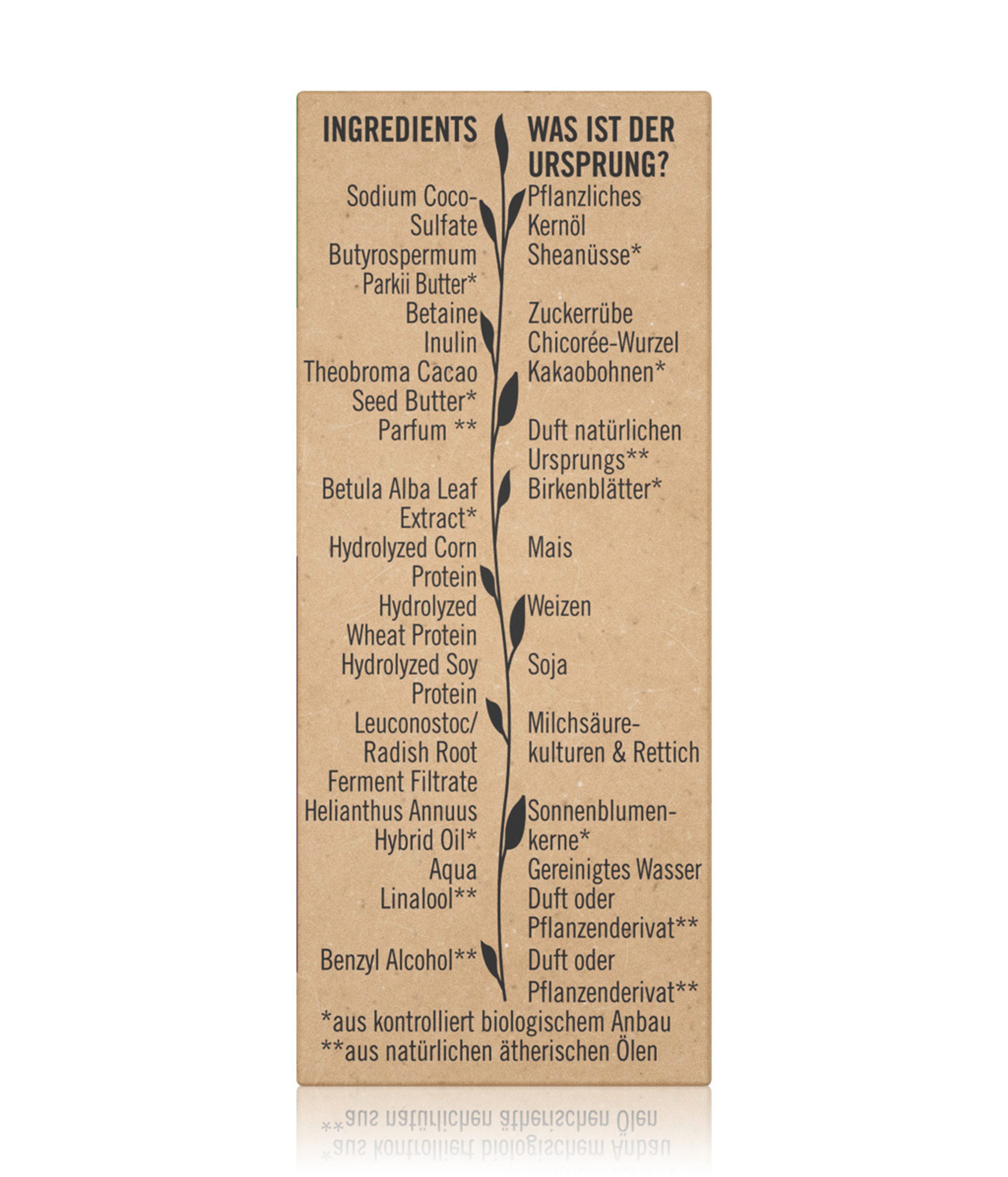 Produktbild 5 von 6, Sante Bio-Birkenblatt & pflanzliches Protein Festes Shampoo