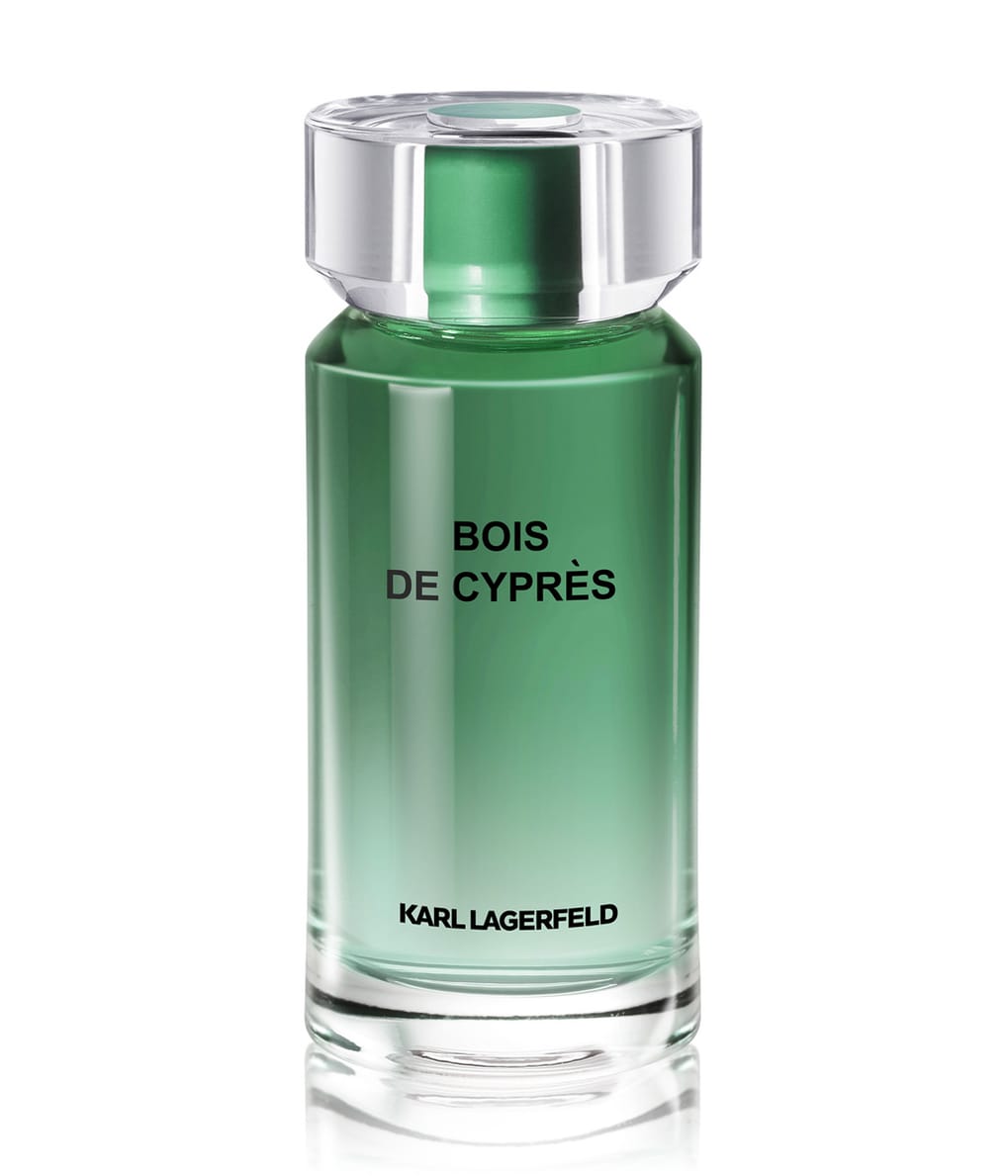 Karl Lagerfeld Les Matières Base Eau de Toilette 100 ml 3386460133869 base-shot_at