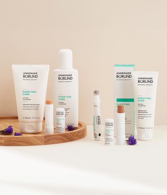ANNEMARIE BÖRLIND PURIFYING CARE Reinigungsgel 150 ml 4011061006753 visual2-shot_at
