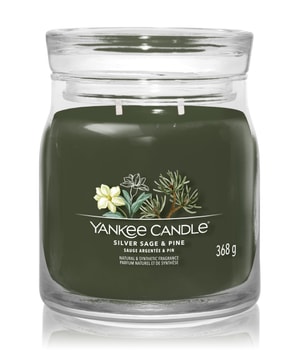Yankee Candle Siver Sage & Pine Duftkerze 368 g 5038581129389 base-shot_at