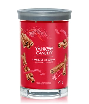 Yankee Candle Sparkling Cinnamon Duftkerze 567 g 5038581147826 base-shot_at