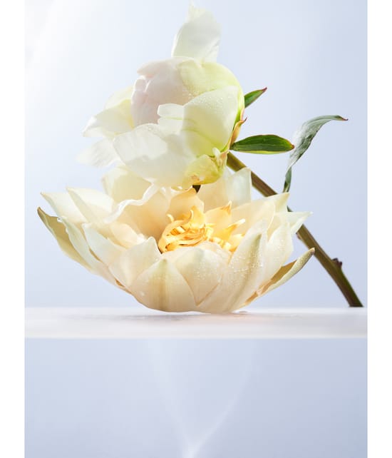 Produktbild 6 von 6, BVLGARI Omnia Eau de Toilette