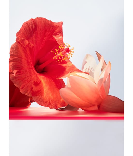 Produktbild 6 von 6, BVLGARI Omnia Eau de Toilette