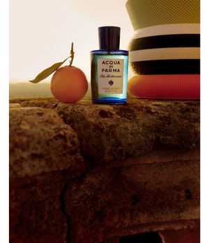 Brandani Duft Nachfüllpackung Sicilia – 100 Ml, Zitrus-Gewürz-Aromen, Für Duftlampen