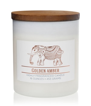 Colonial Candle Wellness Duftkerze 453 g 665098542223 base-shot_at