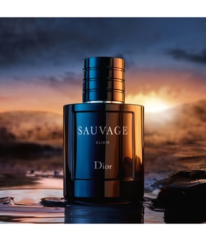 Dior Sauvage Elixir Eau de Parfum ab 9250   billigerde