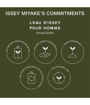 Issey Miyake L'Eau d'Issey pour Homme Eau de Toilette 50 ml 3423222048037 visual-shot_at