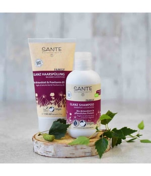 Glanz & Shampoo Sante Protein kaufen pflanzliches Family Bio-Birkenblatt Haarshampoo