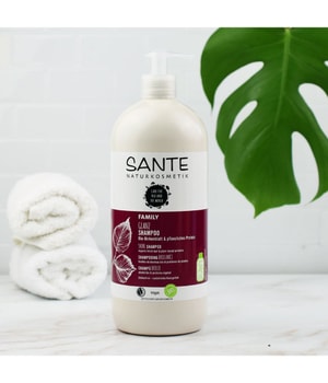 Family kaufen pflanzliches Bio-Birkenblatt Shampoo & Glanz Protein Haarshampoo Sante