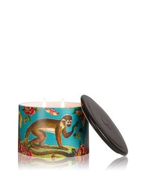 Wax Lyrical Street Mythology Spider Orchid & Eastern Bamboo Duftkerze 246 g unisex