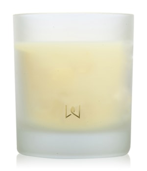 Wax Lyrical The Lakes Collection Coast Duftkerze 0.19 kg unisex
