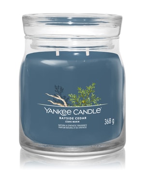 Yankee Candle Bayside Cedar Duftkerze online kaufen