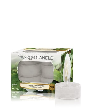 Yankee Candle Camellia Blossom Duftkerze 12 Stk 5038581091433 base-shot_at