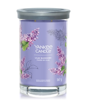 Yankee Candle Lilac Blossoms Duftkerze 567 g 5038581143248 base-shot_at