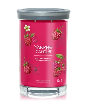 Yankee Candle Red Raspberry Duftkerze 567 g 5038581142937 base-shot_at