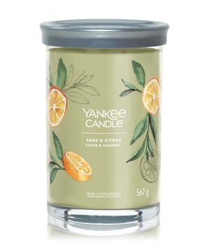 Yankee Candle Sage & Citrus Duftkerze 567 g 5038581142845 base-shot_at