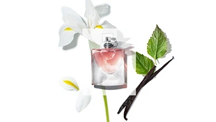 Lancome La Vie Est Belle entdecken Lancome La vie Est Belle EDP