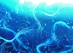 Biotherm Plankton