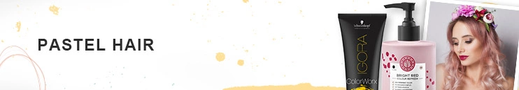 Pastel Hair Pastel Hair Banner